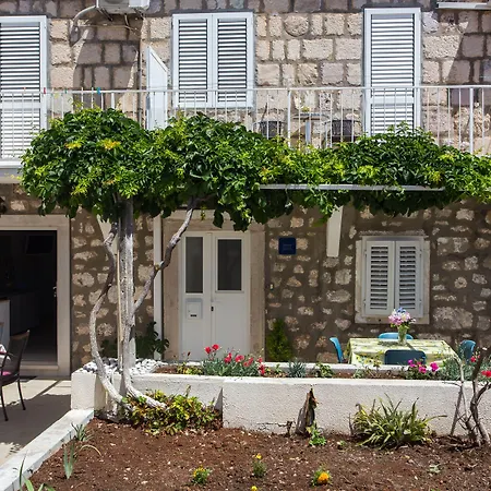Apartments Aurelia-3