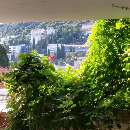 Apartments And Rooms With Parking Space Dubrovnik - 11207-3