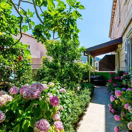 Apartments & Room Frane-2
