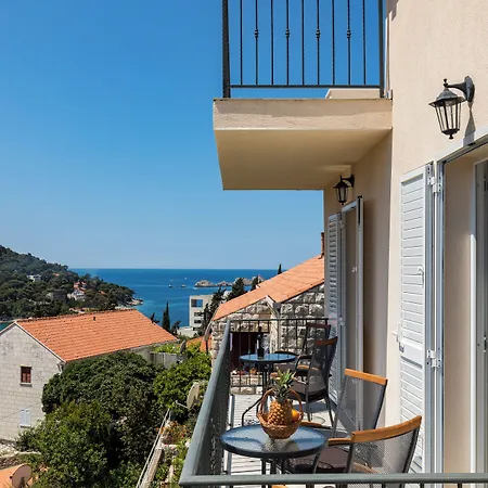 Begovic Guest House-2