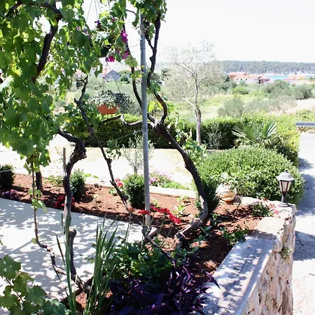 Apartments And Rooms With Parking Space Barbat, Rab - 5070-3