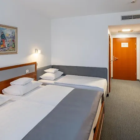 Best Western Airport Hotel Stella-2