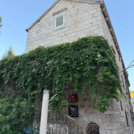 Guesthouse Villa Colenda-3