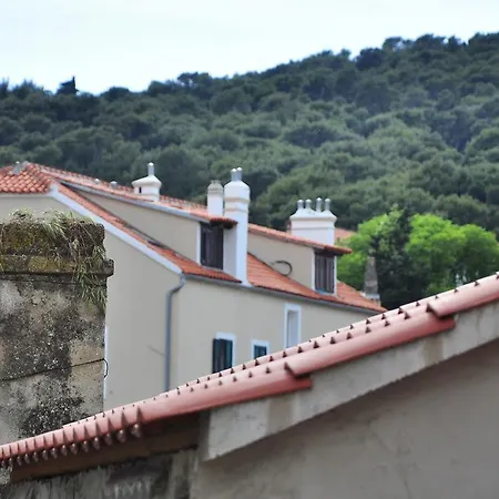 Villa Stagnja-2