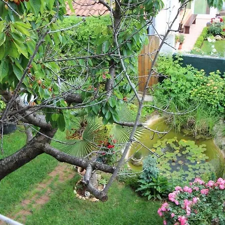 Lovely Family House Robi-2