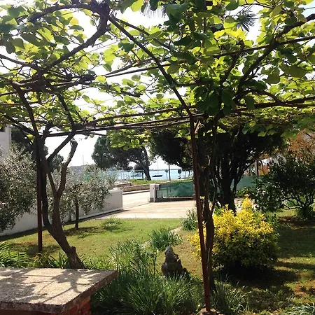 Accommodation Vitalio-2