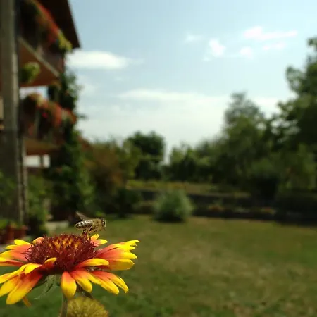 Guest House Nena Rastoke - Nature Retreat With Waterfall Views-3