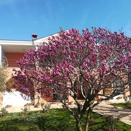 B&B Carmela-3