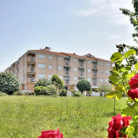 Apartment Branka - Monterol-2