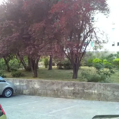 Rozata-3