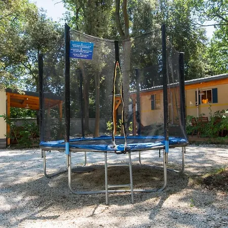 Mobile Home - Kamp Olga-2