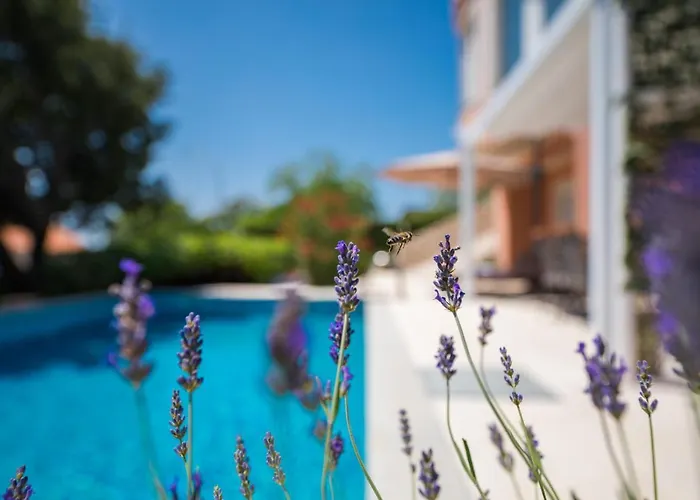 Villa Novi Novi Vinodolski