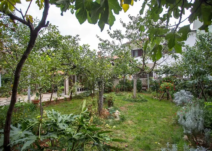 Apartments Rina Pula