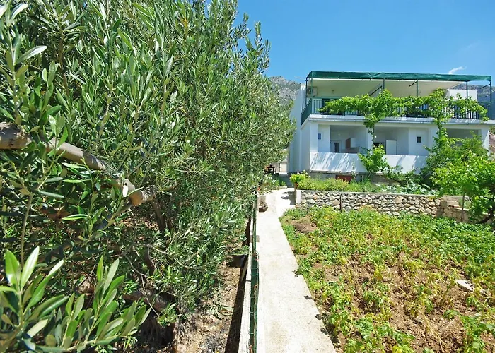 Apartmani Maslina Gradac 