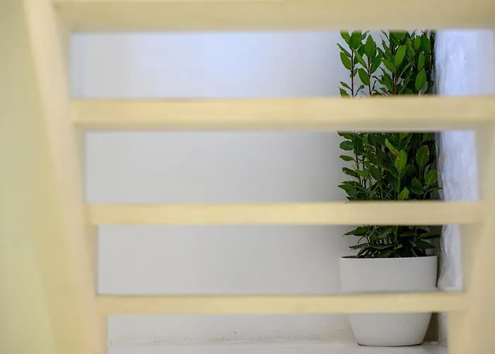 Swan Adriatic Apartment & Room Sibenik