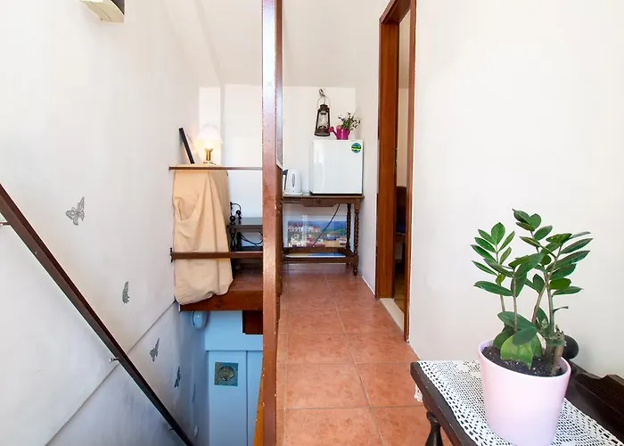Split Accommodation