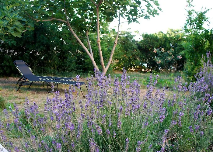 Lokunja Bed&Breakfast Pag Town