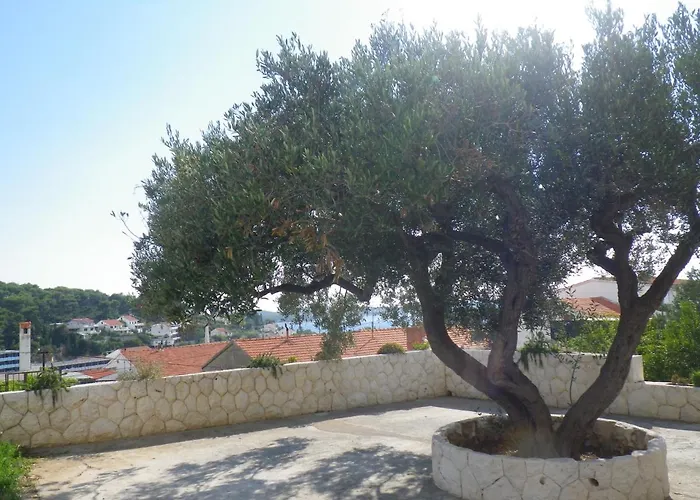 Apartments And Rooms With Parking Space Hvar - 13296 Hvar Town