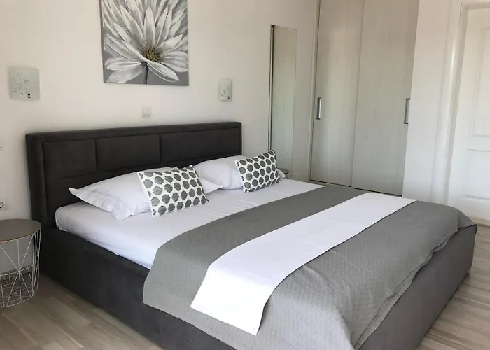 Pet friendly Apartments Antonia Hvar Town