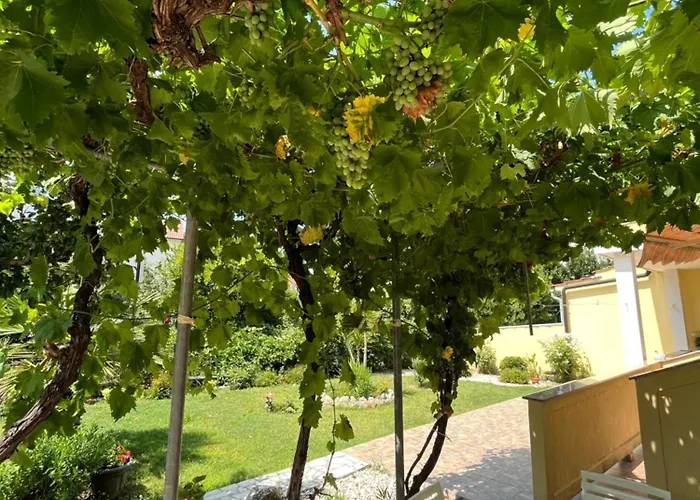 Apartments And Rooms Markovski Palit