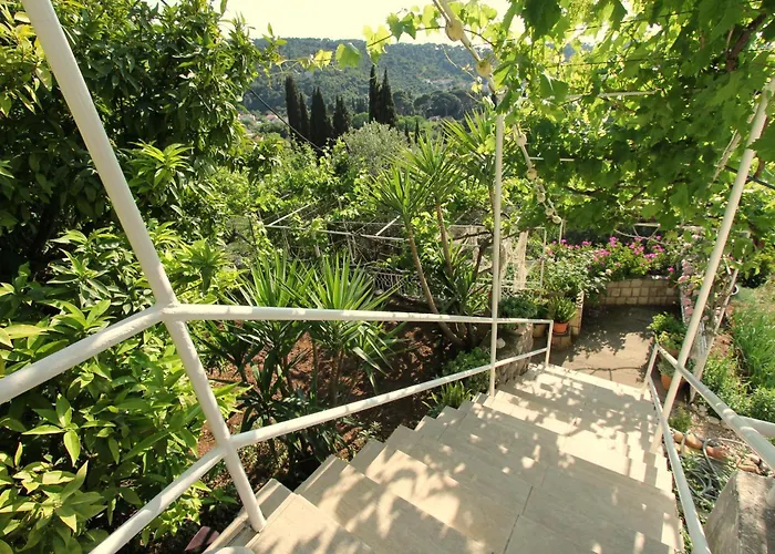Apartments Cervelin Lopud