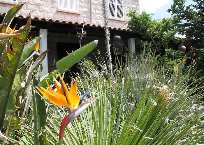 Guest House Maria Bilicic Dubrovnik