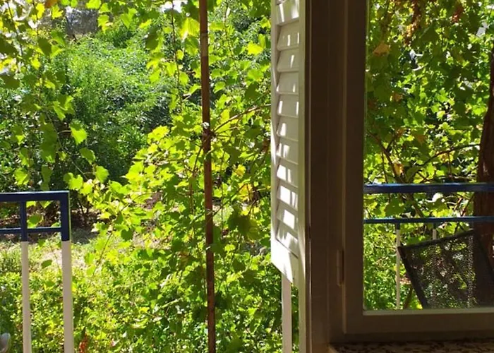 Apartment And Rooms Laguna Trogir