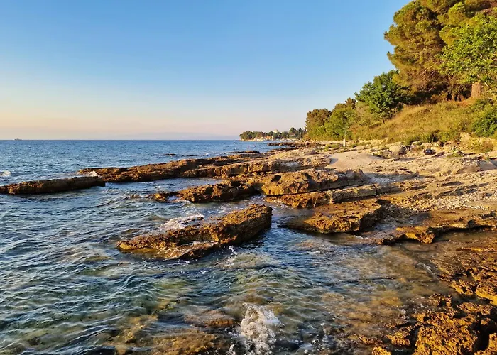 Sunflower Camping Savudrija