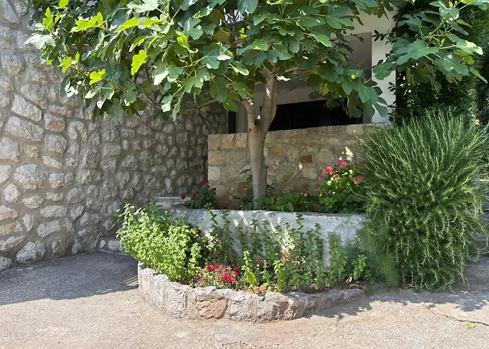 Guest House Mara Novi Vinodolski