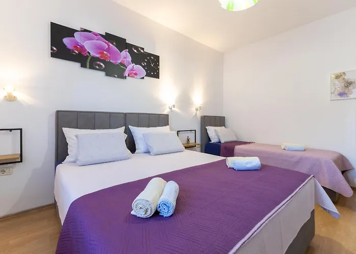 Apartments Danka With Shared Pool Pula