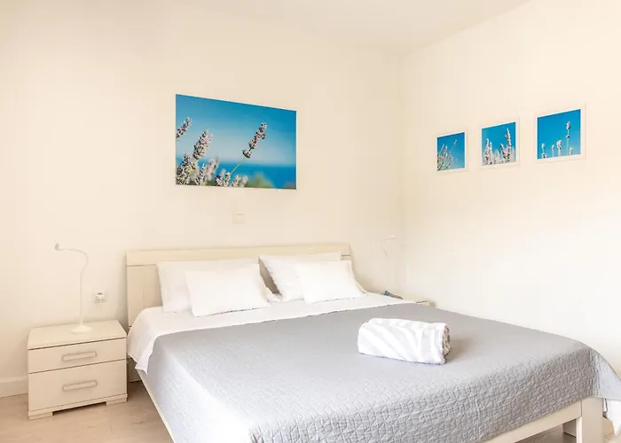 Apartments Olive Tree Hvar Town