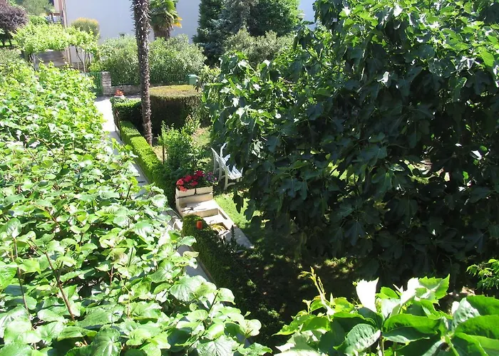 B&B Damian Rovinj